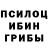 Псилоцибиновые грибы мицелий TAZOVOD 82.
