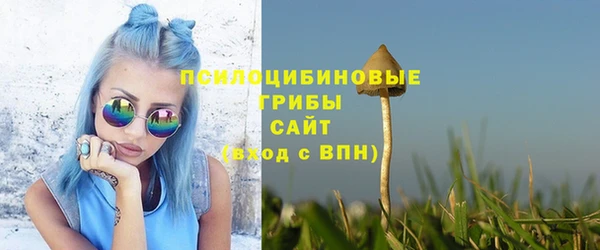 ГАЛЛЮЦИНОГЕННЫЕ ГРИБЫ Елизово