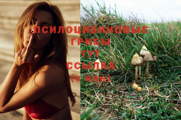 кокс Ельня
