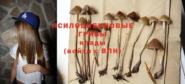 ГАЛЛЮЦИНОГЕННЫЕ ГРИБЫ Елизово